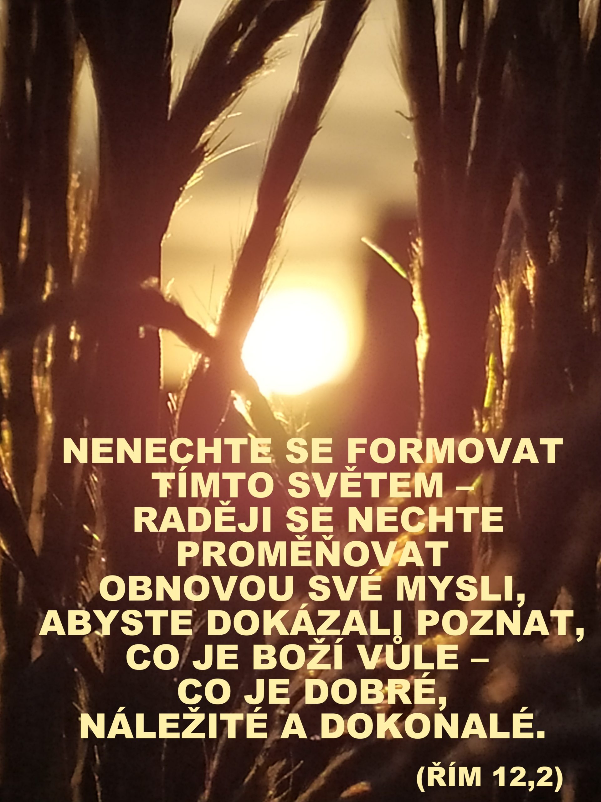 ZAMYŠLENÍ NEJEN NEDĚLNÍ
